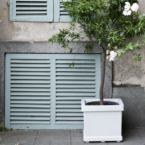 Pot de jardin en polyéthylène basse densité (PEBD) - QUADRO LISCIO - SERRALUNGA - carré / résidentiel / blanc