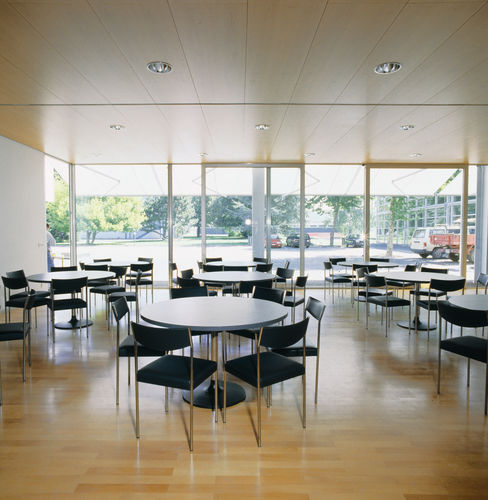 Chaise de restaurant contemporaine - BANDIXEN - DIETIKER - en métal / sans accoudoirs