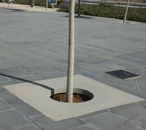Grille d'arbre carrée - ICARIA - Escofet - en béton