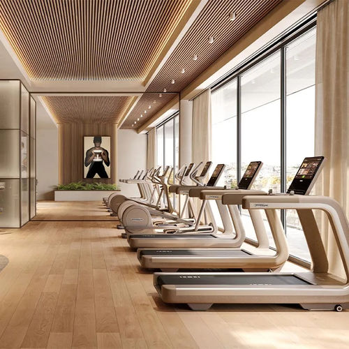 Tapis de course programmable - SAND STONE - TECHNOGYM - professionnel / résidentiel