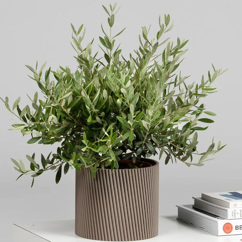 Jardinière en plastique - BFRIENDS TILTED  - Bene GmbH - ronde / contemporaine / professionnelle