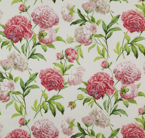 Tissu d'ameublement - SUMMER PALACE : PEONIES - Colefax & Fowler - à fleurs / en coton
