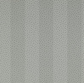 Papier peint classique - WILDER STRIPE - Colefax & Fowler - à rayures