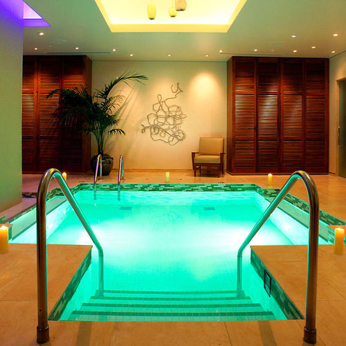 Piscine-spa multiplace - VITALITY  - Bradford Products LLC - en inox / sur mesure / professionnelle