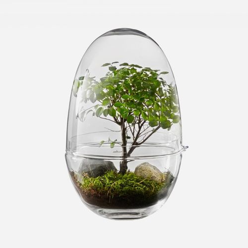 Vase contemporain - GROW - DESIGN HOUSE STOCKHOLM - en verre / fait main