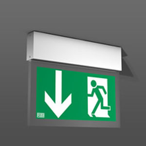 Éclairage de secours de plafond - LED HALYXX® - RZB - rectangulaire / à LED / en aluminium extrudé