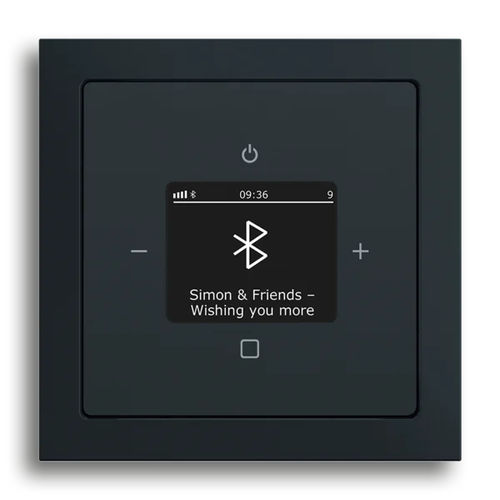 Contrôleur audio - BTCONNECT DAB+ - BUSCH-JAEGER