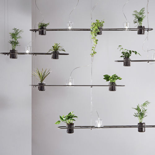 Suspension - PLANTICUS - Siru Lighting - en fer / design organique / d'intérieur