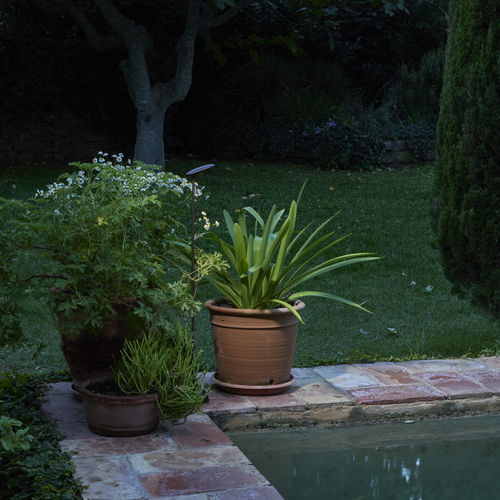 Borne d'éclairage de jardin - Birdie 80S - BOVER Barcelona - contemporaine / en aluminium / en acier inoxydable