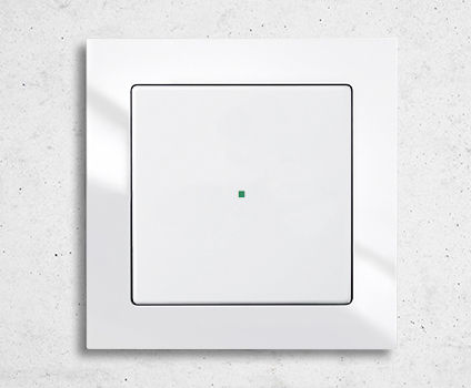 Interrupteur pour installation domotique - Busch-axcent® - ABB Home and Building Automation - bouton poussoir / en saillie / double