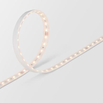 Ruban à LED - FTS5 40K-24V - Feelux