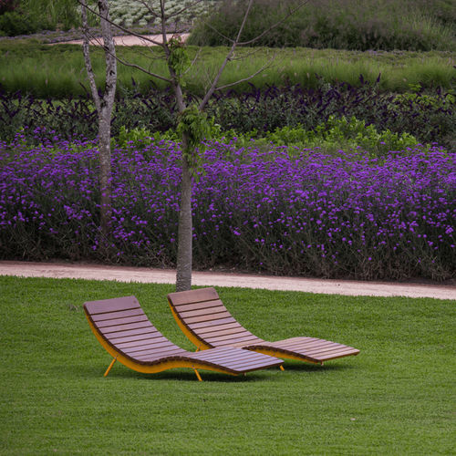Bain de soleil contemporain - BOJON S - CITY DESIGN - en pin / en bois de feuillus / en acier galvanisé