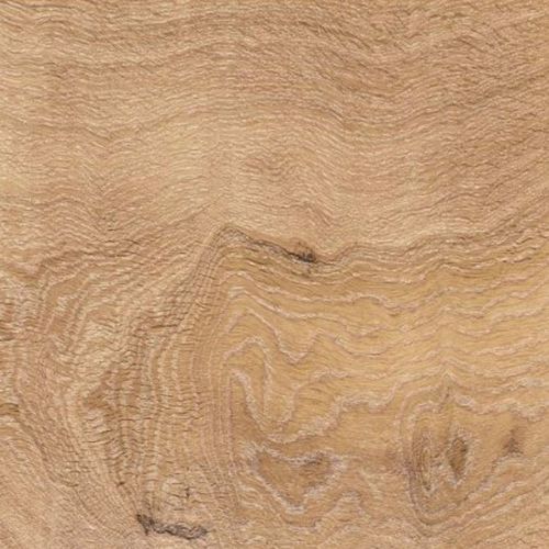 Sol stratifié en chêne - TRANSIT: QUERCIA ARTICA - GAZZOTTI spa - flottant / aspect bois / à usage domestique