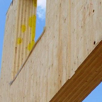 Logiciel de conception - CLT - DIETRICH'S AG - de calcul / pour structure en bois / de plafond