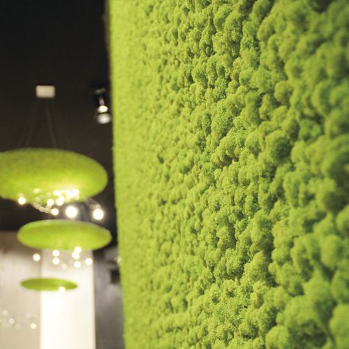 Mur végétal d'intérieur - LICHEN - ADRIANI E ROSSI EDIZIONI