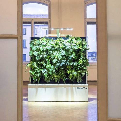 Mur végétal en végétaux vivants - NAAVA - Teknion - sur mesure / naturel / d'intérieur
