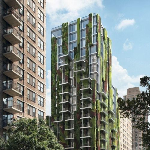 Mur végétal en végétaux vivants - AF UDC 80 - Schüco - en panneau modulaire / naturel / d'extérieur