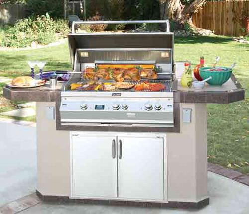Barbecue à gaz - MONARCH MAGNUM - FIRE MAGIC - fixe / en acier inoxydable
