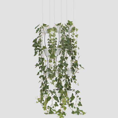 Support pour jardinière suspendue - WINDOW GARDEN PENDANT - Danese