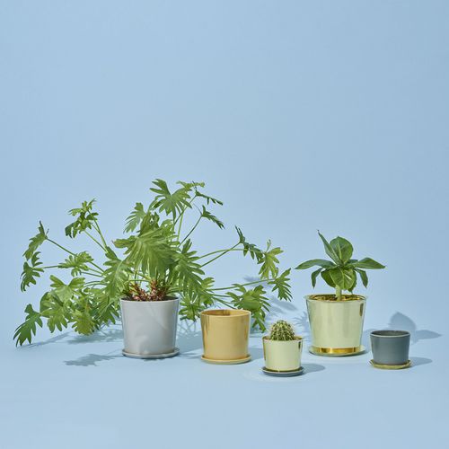 Pot de fleur en céramique - BOTANICAL FAMILY - Hay a/s - en laiton / à poser / rond