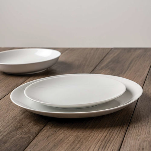 Assiette plate - C21  - Schoenhuber Franchi - ronde / professionnelle / uni