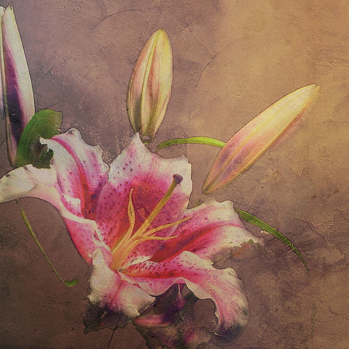 Papier peint contemporain - AMARYLLIS - Tonin Casa - à motif floral / marron / pour salle de séjour