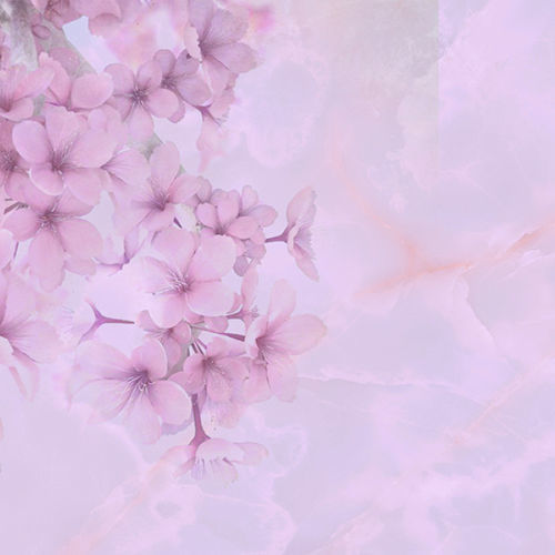 Papier peint contemporain - BLOOM - Tonin Casa - à motif floral / rose / pour salle de séjour