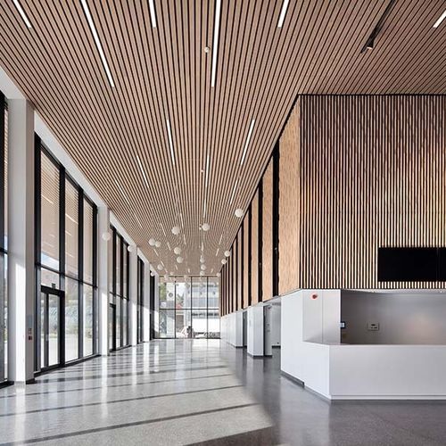 Panneau acoustique pour faux-plafond - LINEA 2.9.13 - LAUDESCHER - en bois massif / en chêne / en pin