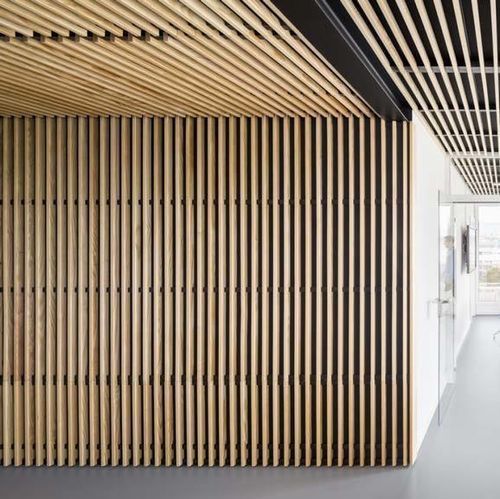 Panneau acoustique pour faux-plafond - LINEA 2.4.5 - LAUDESCHER - en sapin / en bois massif / en chêne