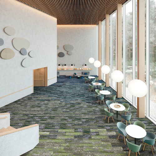 Moquette en dalles - TRANSFORM COLOUR  - Shaw Contract - tuftée / bouclée / en polyamide