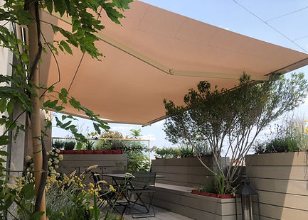 Store banne à projection - MONFRANC - Socotex - Abritez-vous chez nous - motorisé / de terrasse / de balcon