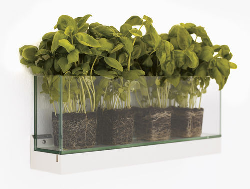 Pot de jardin en verre - FRONT - KARL ANDERSSON - mural / rectangulaire