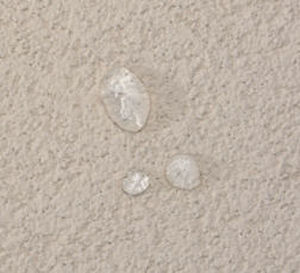 Peinture d'étanchéité - HDP™ FINISHES - Dryvit - pour mur