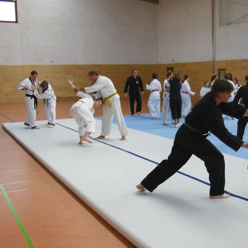 Tatami de sport - AIRFLOOR - Modugame - MG Sport - pour gymnase