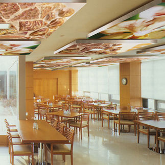 Faux-plafond en tissu - THE ORANGE SALT OF EARTH - tela-design - en îlot / acoustique / ignifuge