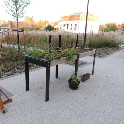 Carré potager en bois - THERAPEUTICAL GROWING - Euroform K. Winkler GmbH - en tôle / en acier galvanisé / d'extérieur