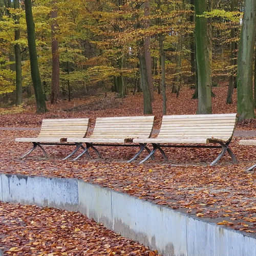 Banc public classique - PALAZZO LIGHT - Euroform K. Winkler GmbH - en bois de feuillus / en acier galvanisé / avec dossier
