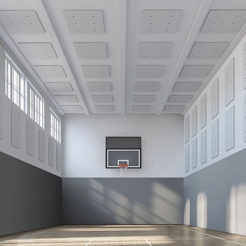Panneau d'absorption acoustique pour plafond - INDUSTRIAL GYM - Caimi Brevetti SpA - en polyester / rectangulaire / pour agencement intérieur