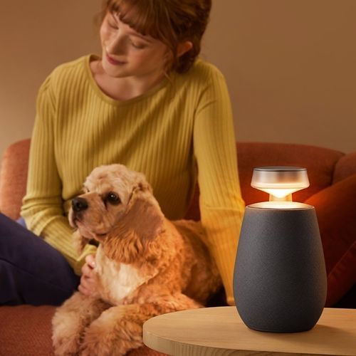 Enceinte multimédia - XBOOM 360 XO2 - LG Electronics - Bluetooth / sans fil / omnidirectionnelle