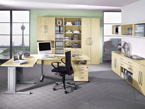 Bureau de direction - TECHNO SPEED - RÖHR-Bush - contemporain / en bois / en métal