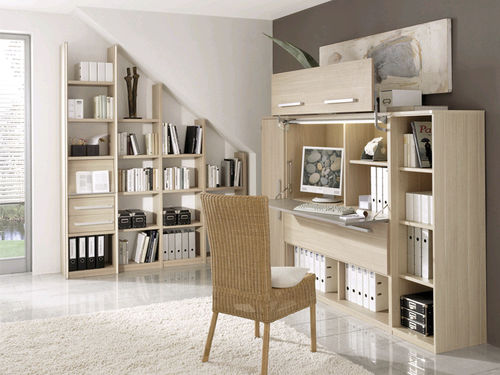 Bibliothèque contemporaine - TECHNO - RÖHR-Bush - pour bureau / en bois