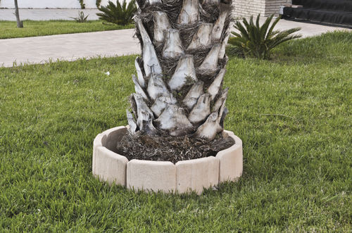 Bordurette d'arbre - BOSQUE - Verniprens - ronde