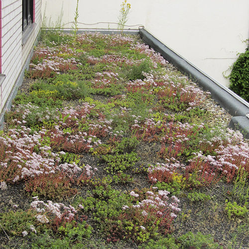 Membrane d'étanchéité de protection - ROOFGARDEN - IKO - de renfort / antipoinçonnante / anti-racine