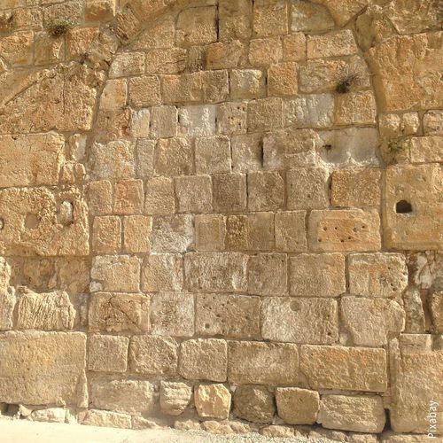 Plaque de pierre en pierre calcaire - EILAT – JERUSALEM - CREA STONE - pour sol / pour mur / brossée