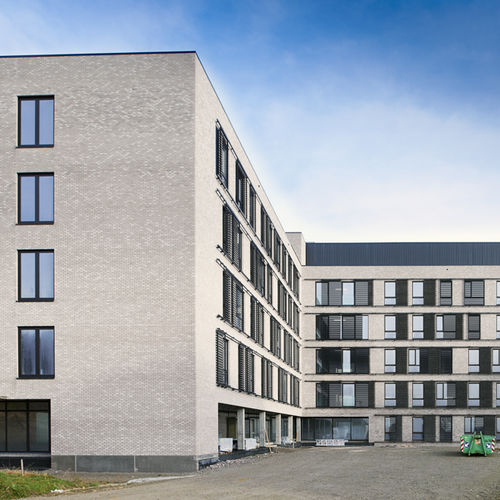 Brique de parement de terre cuite - REGA - Vandersanden Group - pour façade / à relief / gris