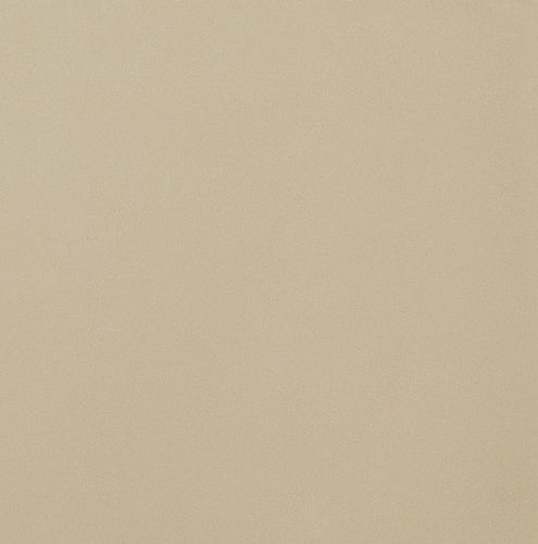 Carrelage en grès cérame - STANDARD : UNI BLANC CRÈME - Novoceram sas - mat / d'intérieur / de sol