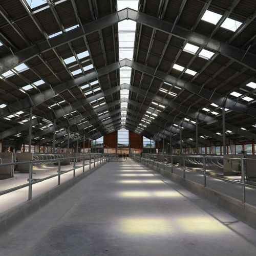 Structure métallique pour constructions industrielles - PRE-ENGINEERED - ASTRON - en acier galvanisé