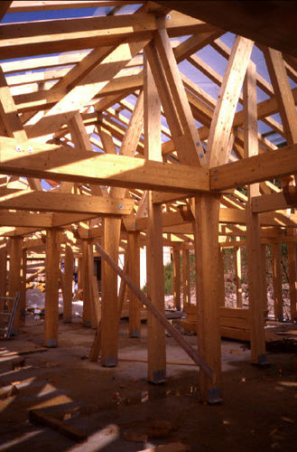 Logiciel d'analyse structurelle - HSBTIMBER - hsbSOFT - pour structure en bois / 2D