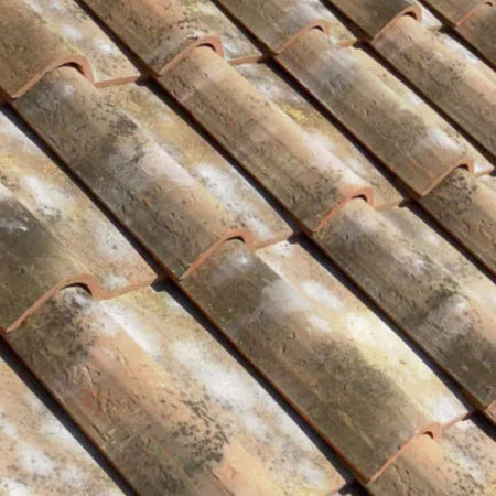 Tuile imbrex - VERNACCIA / RISERVA - SOLAVA - en terre cuite / grand moule