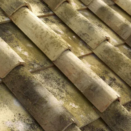 Tuile imbrex - MALVASIA - SOLAVA - en terre cuite / grand moule